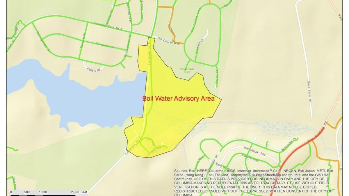 Affected area in yellow