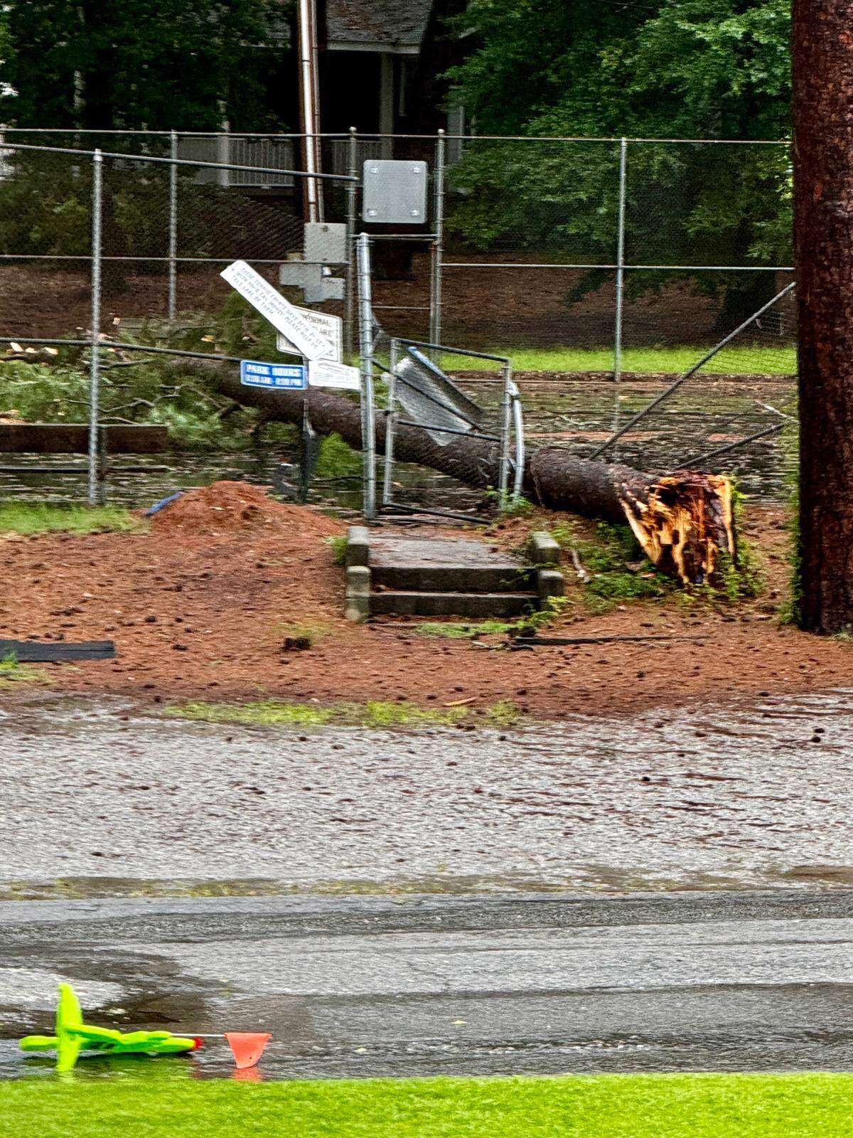 A tree fell into the Mays Park tennis courts over the weekend.