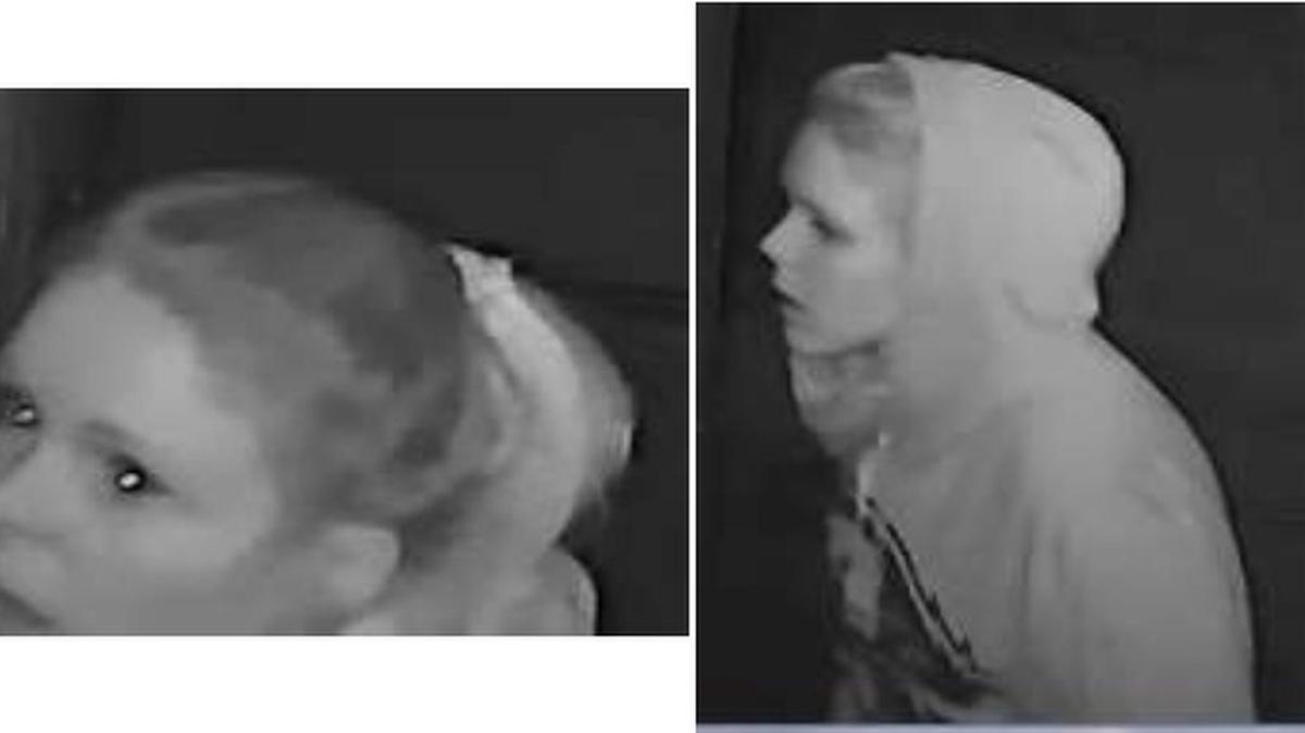 Surveillance video of female pawn shop burglary suspect from January 20, 2017 break-in.