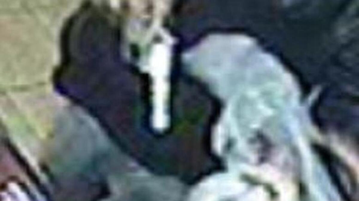 Anyone who can identify this suspect in a gas station robbery is asked to contact law enforcement.