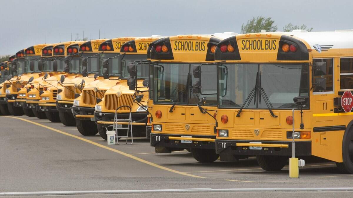 School buses