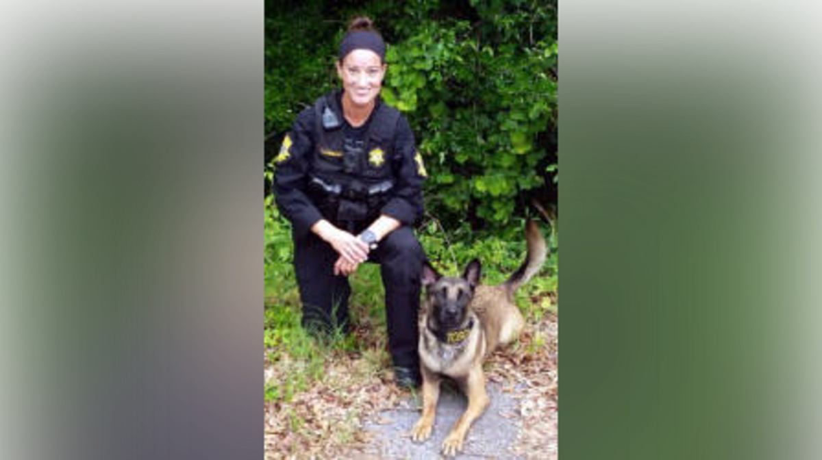 K-9 Deputy Tosca with h