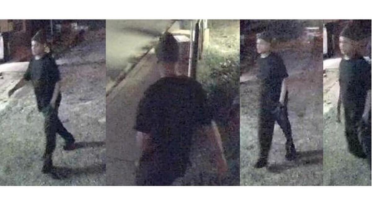 Surveillance photos of armed robbery suspect