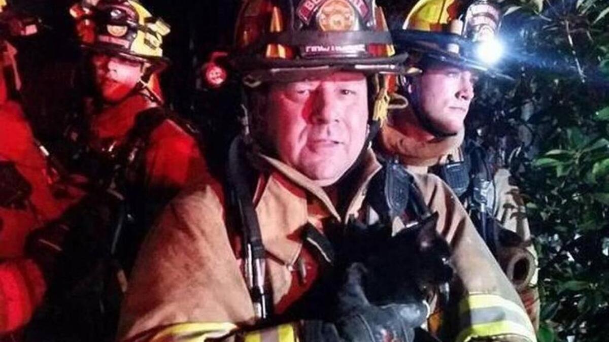 Pets are often rescued from burning homes. This kitten was rescued from a Port Royal apartment fire in 2014 Beaufort Fire Department