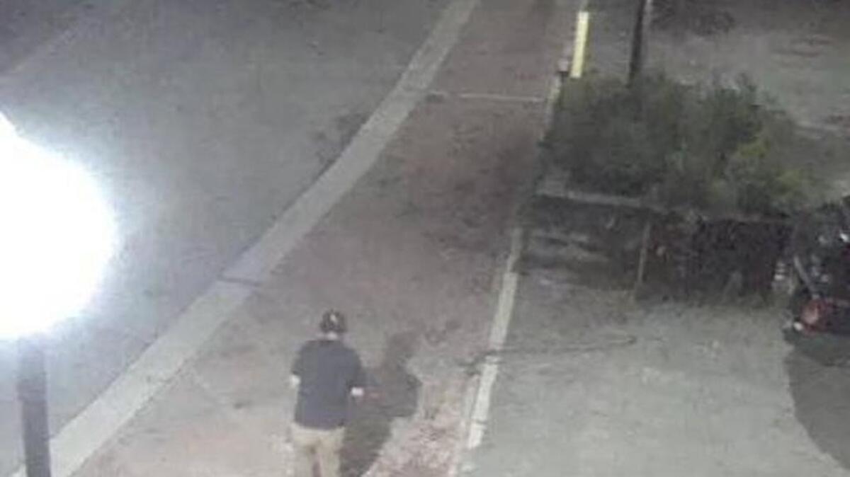 The Clemson City Police Department said on its Facebook page a white male driving a Ford150 hit three people on Sunday morning.