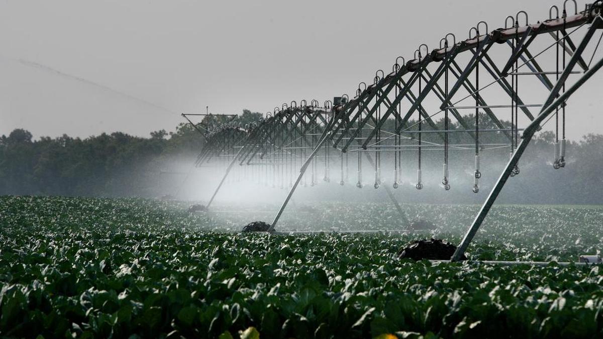 Walter P. Rawl & Sons farming operations in Pelion