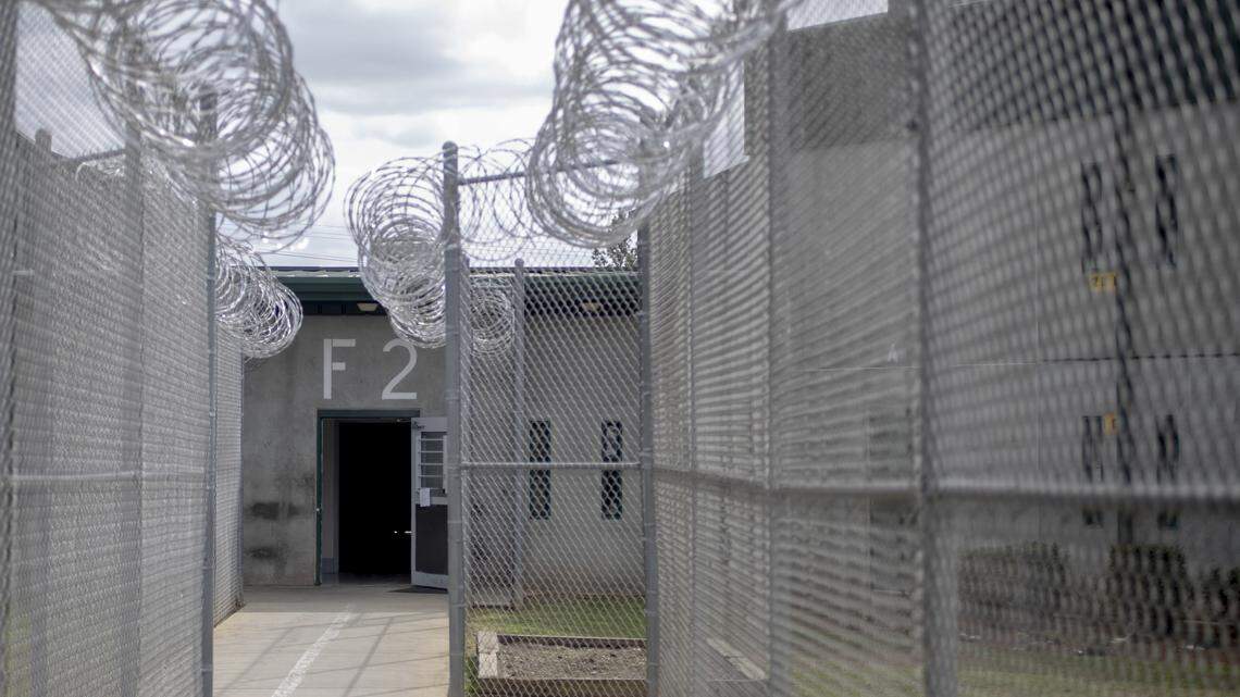 Nearly 800 died in SC jails, prisons from 2015-2021, USC report shows