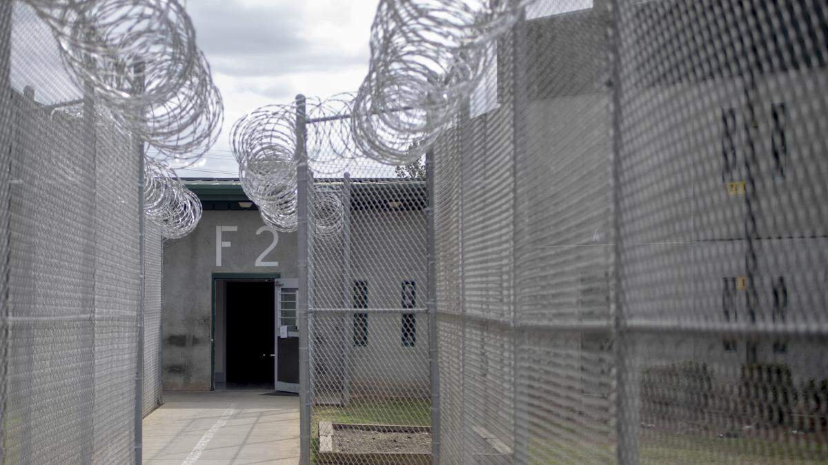 Nearly 800 died in SC jails, prisons from 2015-2021, USC report shows