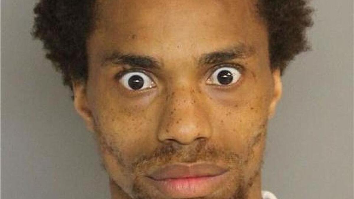 Reihn Dracon Jennings