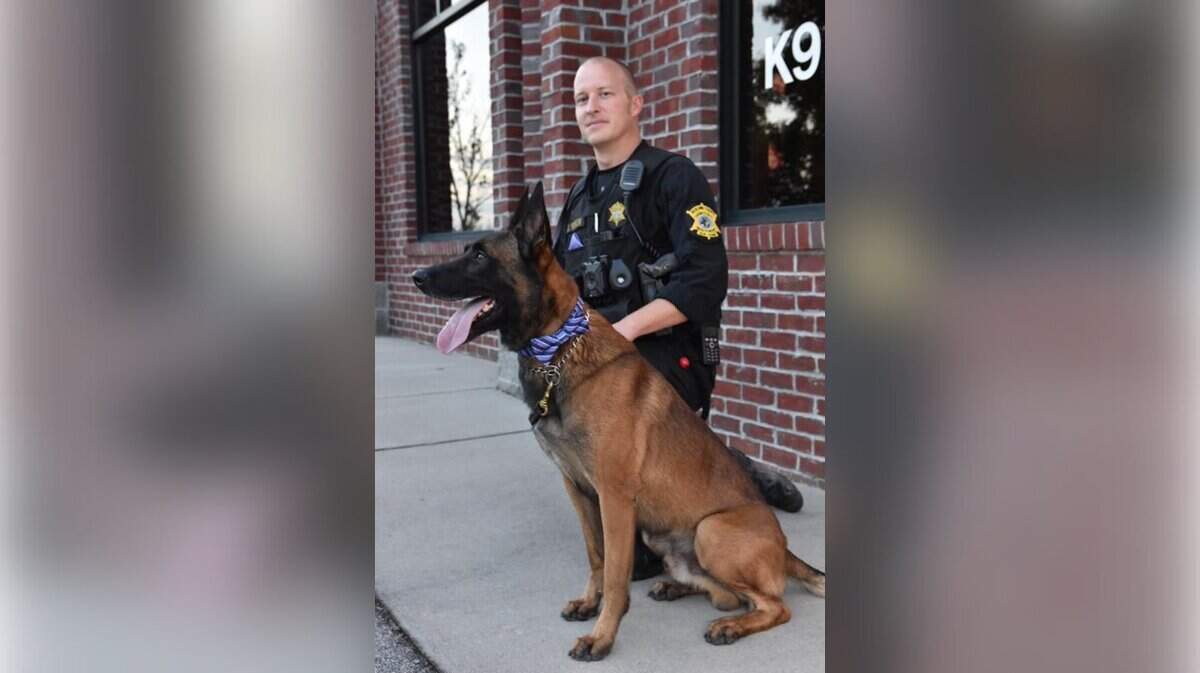 Richland County Deputy Josh Newsom, pictured here with his K-9 partner Bali, was injured while struggling with a suspect during a foot pursuit early Sunday, July 15, 2018, according to officials.