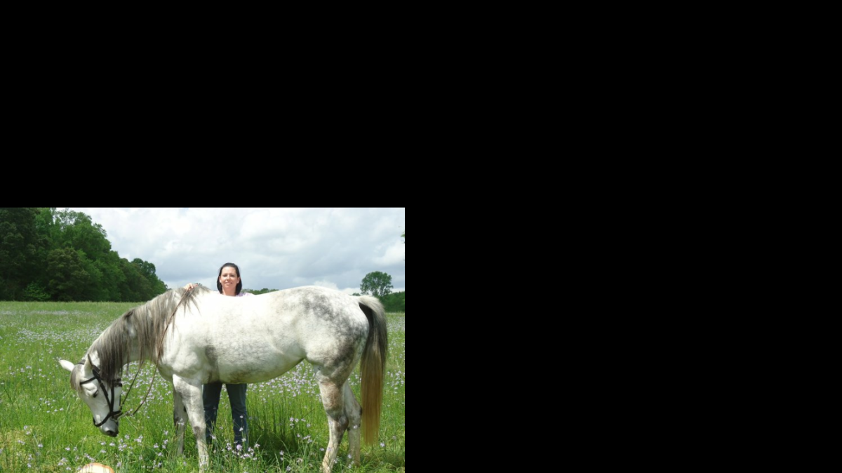 
Grey, a 13-year-old mare, had to be euthanized Saturday after someone shot the horse outside of a Chester County home. Kristy Sutton, pictured here with Grey, said the horse was like a member of their family. 
