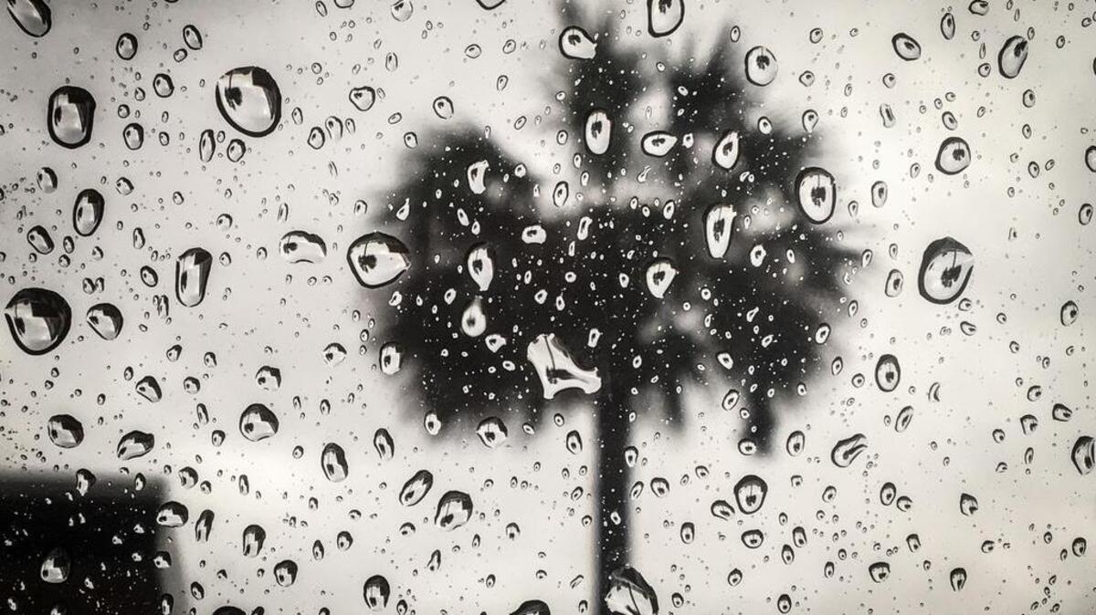 A palm tree is seen through raindrops on a window at the Cross Hill shoppoing center in Columbia. S.C.