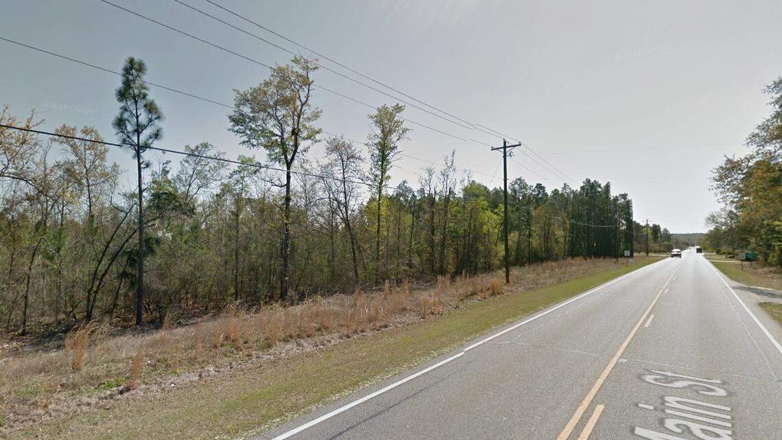 Lexington 1 has agreed to purchase 54 acres of land near Pelion High and Pelion Middle schools.