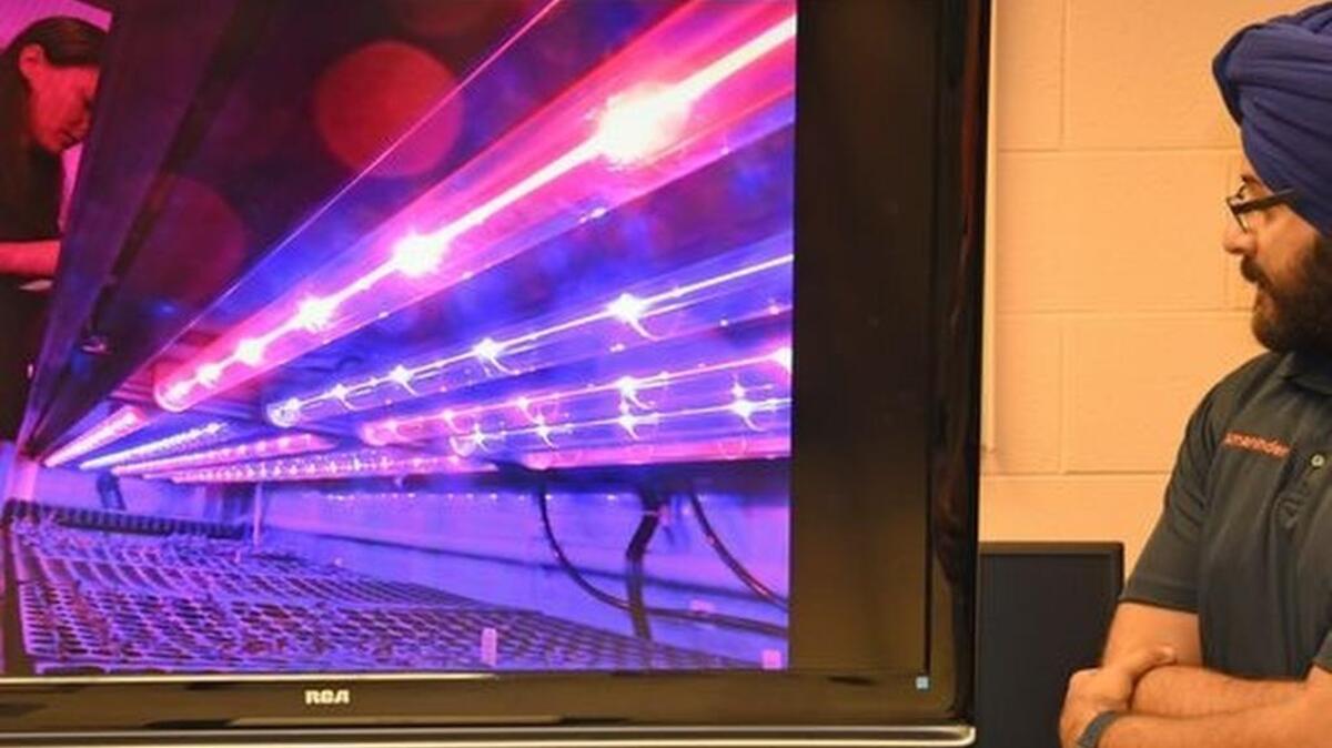 Clemson graduate student Amaninder Gill shows video of the hydroponic growing system the university will modify for use in space.