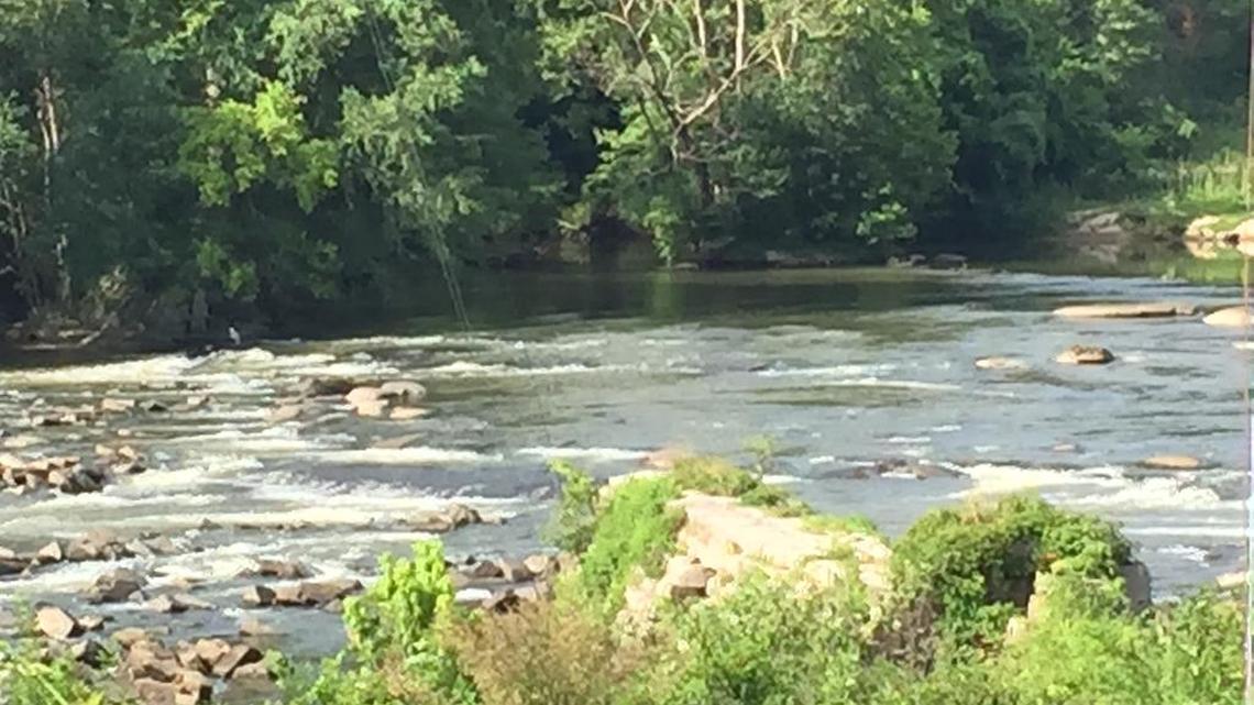 The lower Saluda River near Riverbanks Zoo in Columbia.