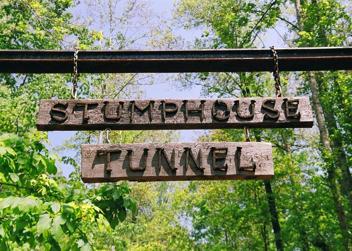 Stumphouse Mountain is a natural area that contains a historic tunnel and waterfall near Walhalla in South Carolina’s northwest corner. It was protected with help from the S.C. Conservation Bank.