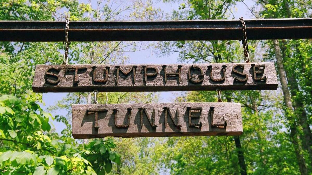 Stumphouse Mountain is a natural area that contains a historic tunnel and waterfall near Walhalla in South Carolina’s northwest corner. It was protected with help from the S.C. Conservation Bank.