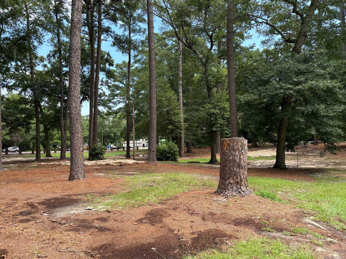 The city of Columbia is spending $850,000 to renovate Mays Park, at the intersection of Beltline Boulevard and Trenholm Road. The plans include the removal of more than two dozen trees.
