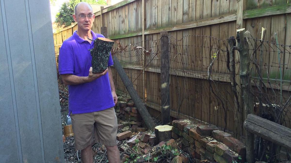 Jan Peter vanRosevelt came home to find his oak and fig trees reduced to stumps by SCE&G tree trimmers.