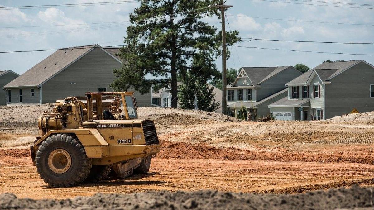 Lexington County officials are looking for ways to save more trees in some areas as new neighborhoods sprout.