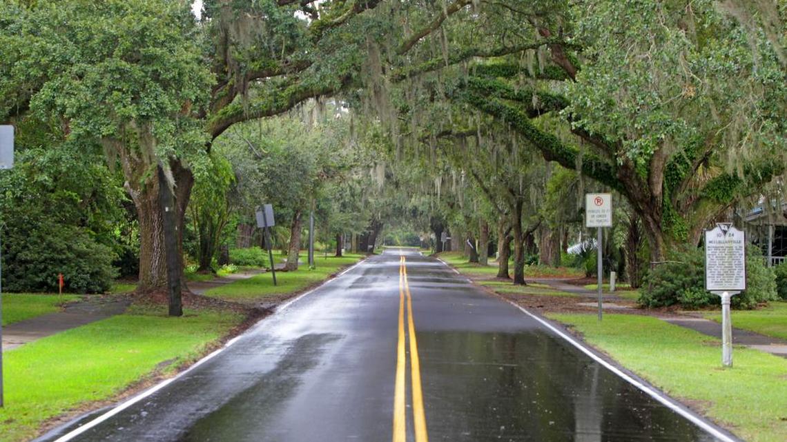 How one overly aggressive German Shepherd brought this community closer together