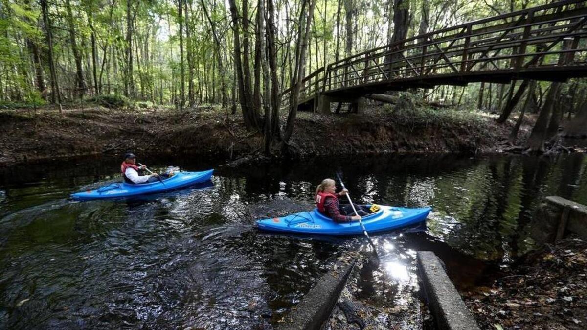 
Paddlers enjoy the placid waters of Congaree National Park southeast of Columbia. 
