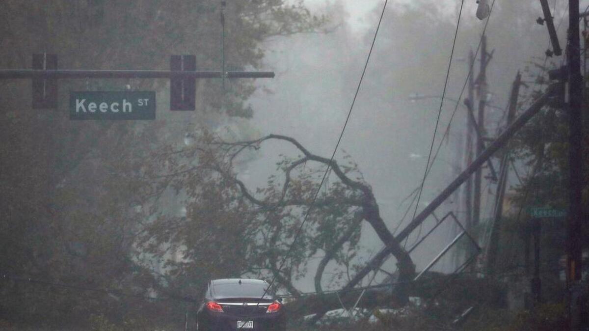 A car drives past a downed tree as Hurricane Matthew moves through Daytona Beach, Fla.