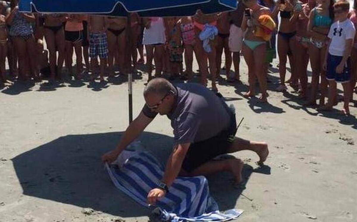 
Two whales have washed ashore near Apache Pier in Myrtle Beach. Horry County Cpl. Justin Wyatt covers one with a wet towel. 

