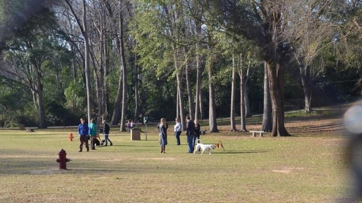 North Main bark park