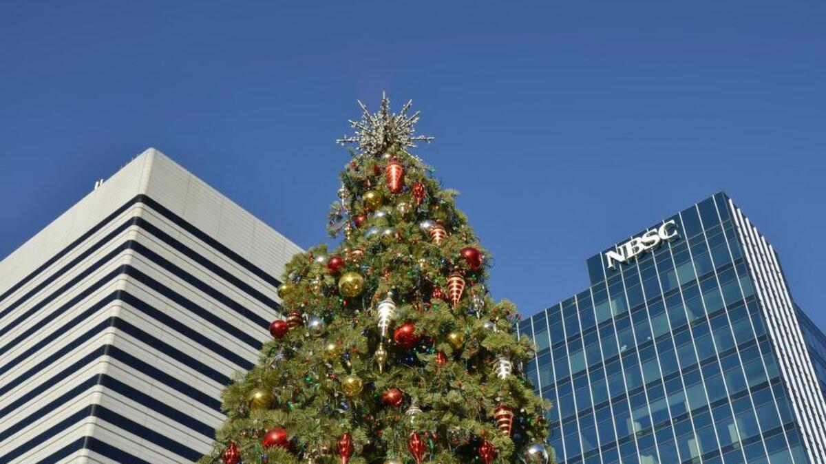 The State House Christmas tree in Columbia didn’t get any snow this year, as Christmas Eve reached a record high for the area.