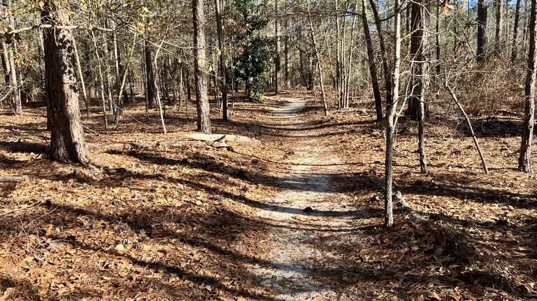 Online requests expected to ease difficulties for Palmetto Trail hikers at Fort Jackson