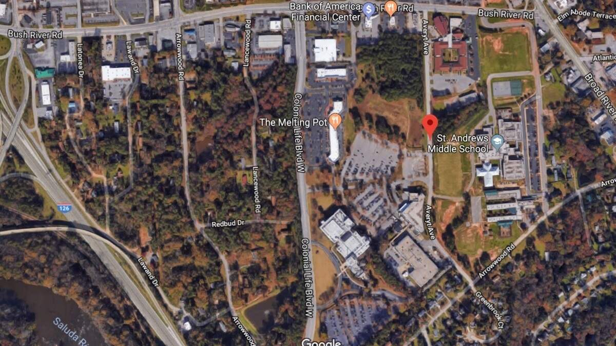 A Columbia man died when he was hit by a car on Averyt Avenue on Aug. 11, police say.