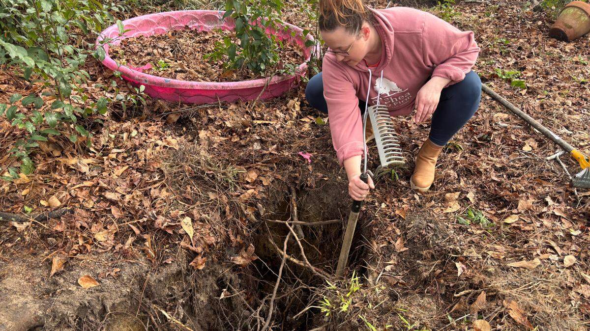 Forest Acres resident Shelley Stokes uses the handle of a gardening tool on Feb. 13, 2025 to measure how much water is at the bottom of a sinkhole in her yard. She said the six-foot-deep hole appeared while she was pulling weeds in her yard. 