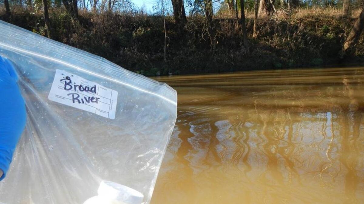 A sewage treatment plant on the Broad River has exceeded pollution discharge limits to the waterway numerous times since 2013.