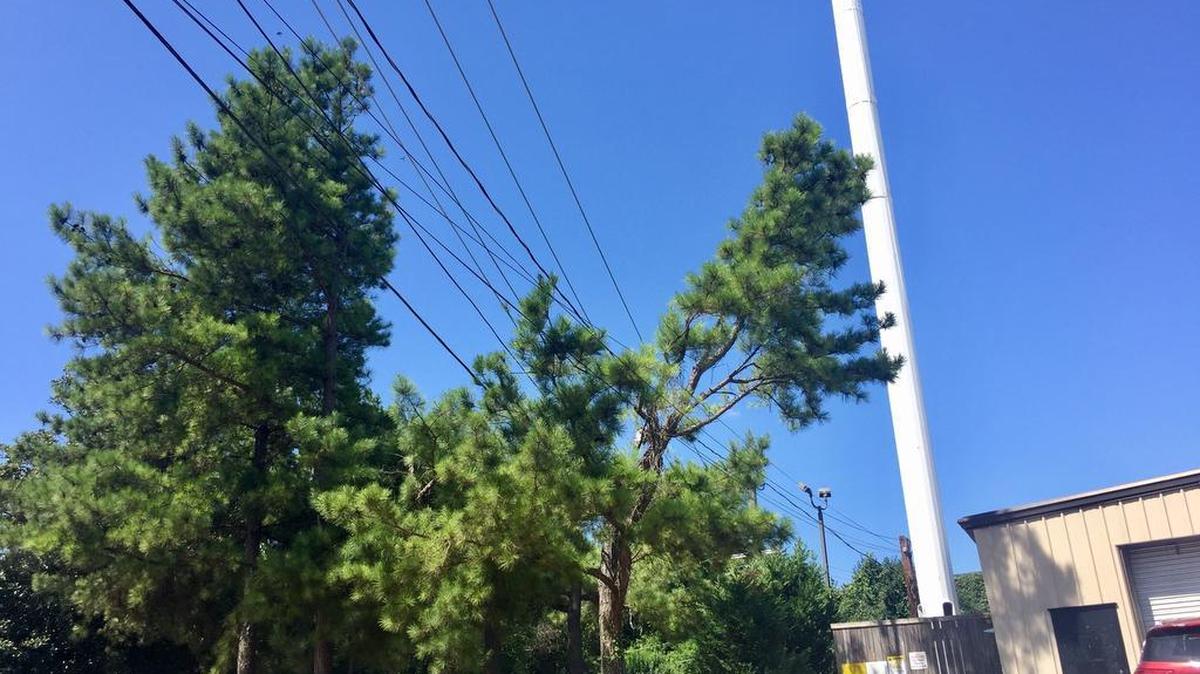 An example of a “stealth” cellphone tower in the Rosewood neighborhood, on Howard Street. A proposed cell tower on Rosewood Drive could resemble this one.