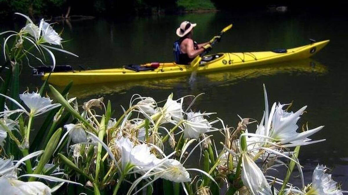 The Broad River flows into Columbia, supplies the city’s drinking water canal and eventually joins the Saluda to form the Congaree.