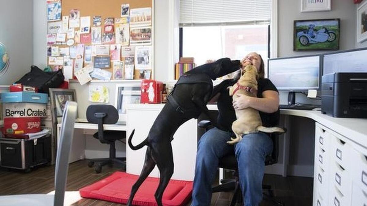 Melissa Halliburton, founder and CEO of Bring Fido, gets kisses from her dogs Ace and Roxy in her office.