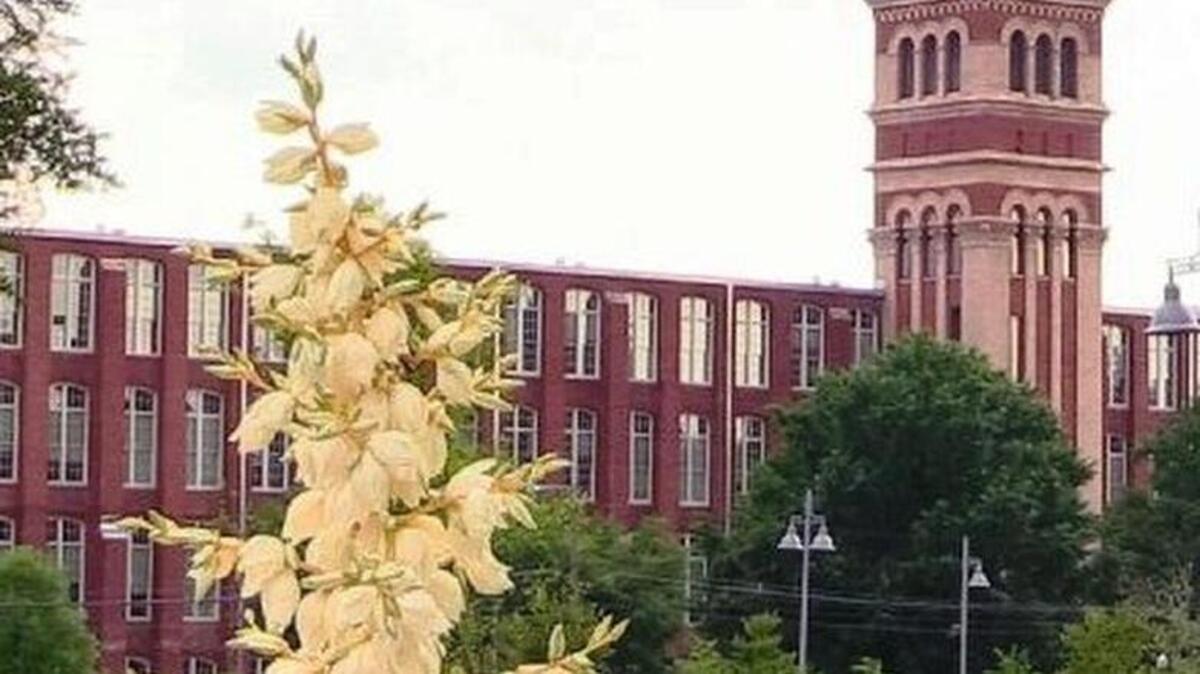 HISTORIC RE-USE. Residents are pleased the Olympia and Granby textile mills were converted into apartments and that more apartments and restaurants have been built nearby.