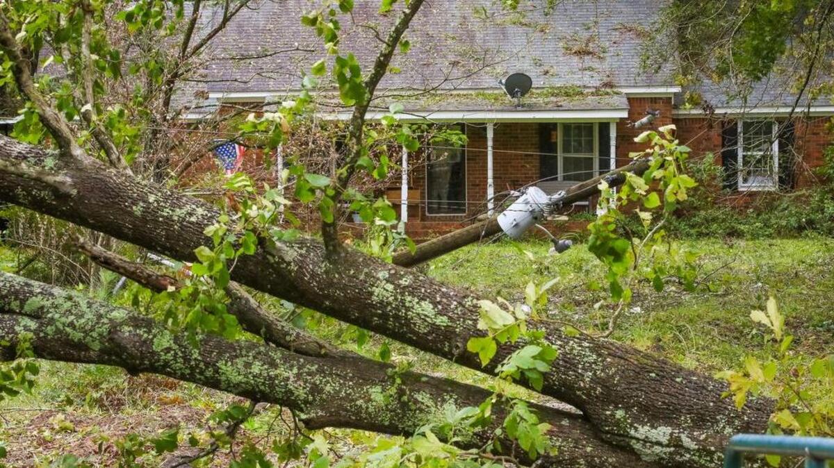 Hurricane Matthew has downed trees and power lines around lower Richland county. The driveway to this home on Congaree road is blocked by a tree and a broken power pole.