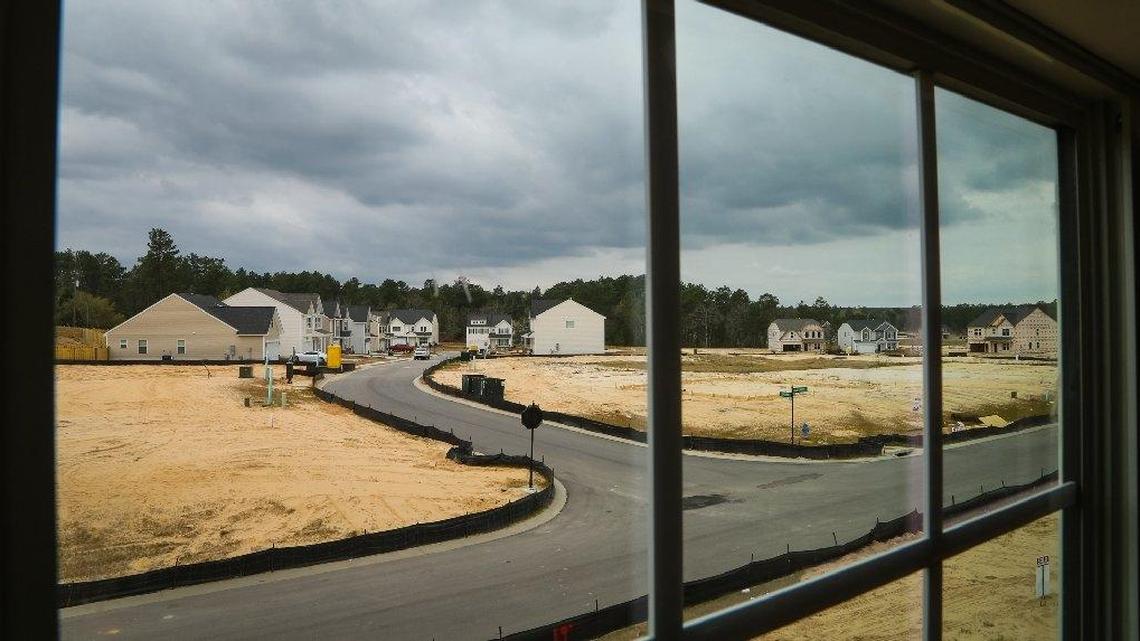 Leixngton County officials may require landscape buffers around new neighborhoods.