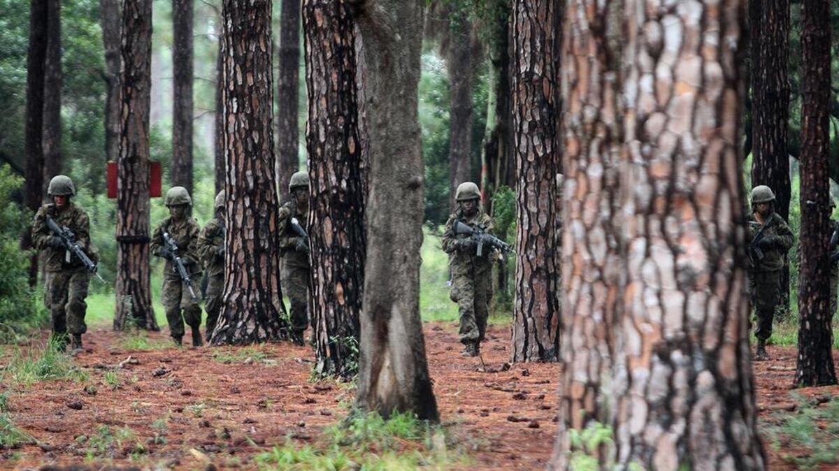 Recruits with November Company, 4th Battalion, methodically make their way through a pine forest during The Crucible on Sept. 25 at Parris Island.