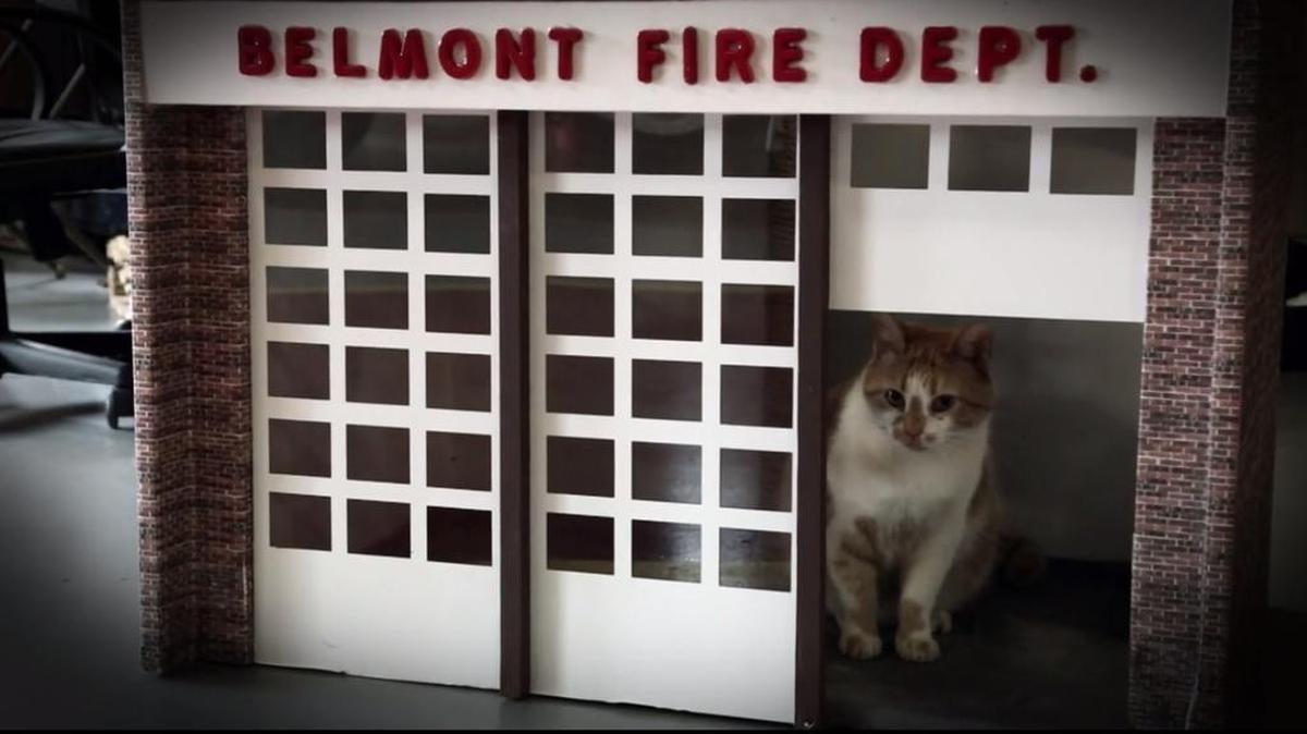 Screenshot of Flame, as featured in ‘My Cat From Hell.’