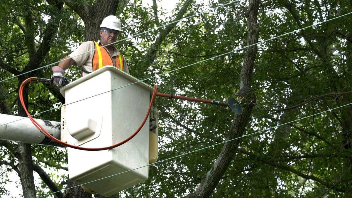 Removing branches that threaten power lines or whole trees that pose hazards of falling on houses are big concerns for Columbia-area homeowners. Scores of them are calling private companies for help. SCE&G is trying to get more crews here from out of state.
