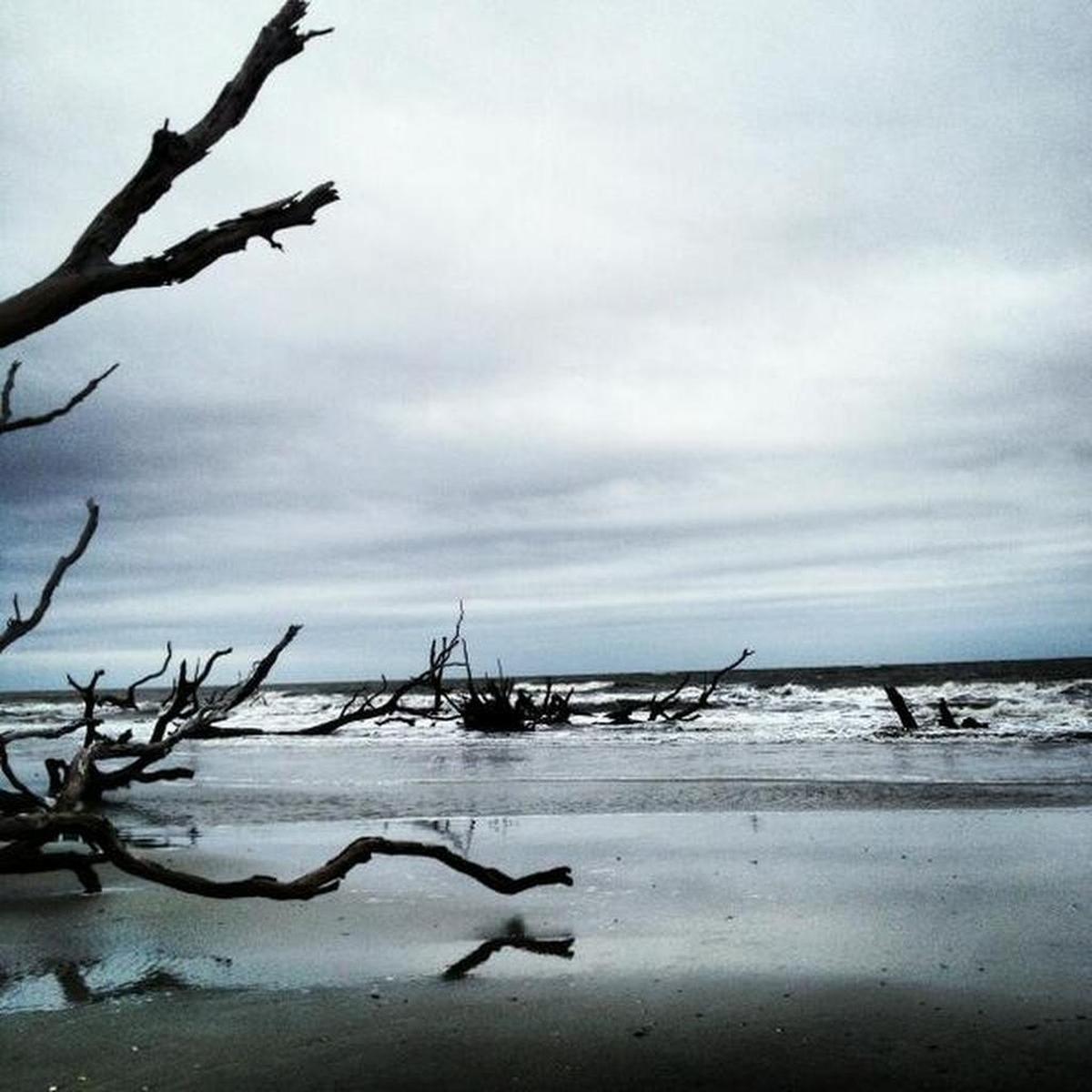 Eroding beaches like this one at Cape Romain National Wildlife Refuge near Charleston are tied to rising sea levels, which scientists say are caused by the earth’s changing climate.