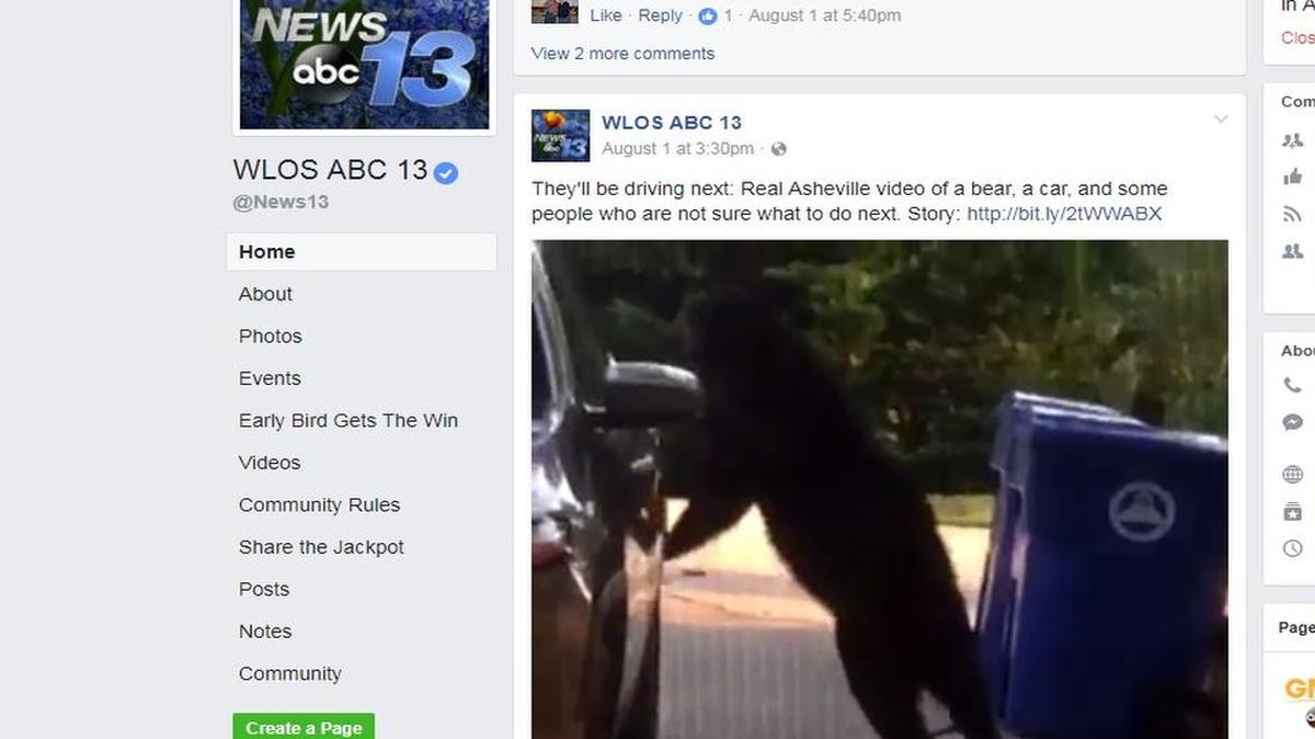 Bear stands up to open car door.