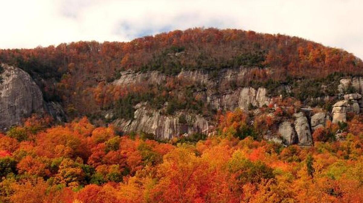 
This fall is expected to have better leaf color than usual because of the drier than normal spring and summer. 

