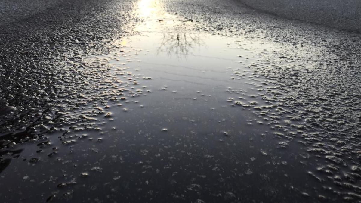 Is it a wet road or a frozen road? This is wet blacktop in Lexington County but when temperatures drop into the teens overnight, it'll be ice.