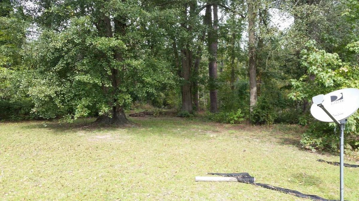 Wilkinson’s back yard