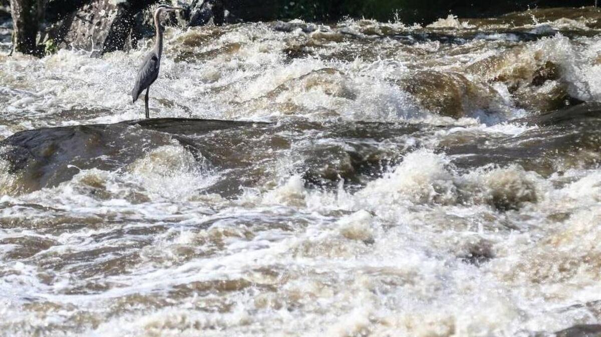 
Saluda River rapids near Columbia

