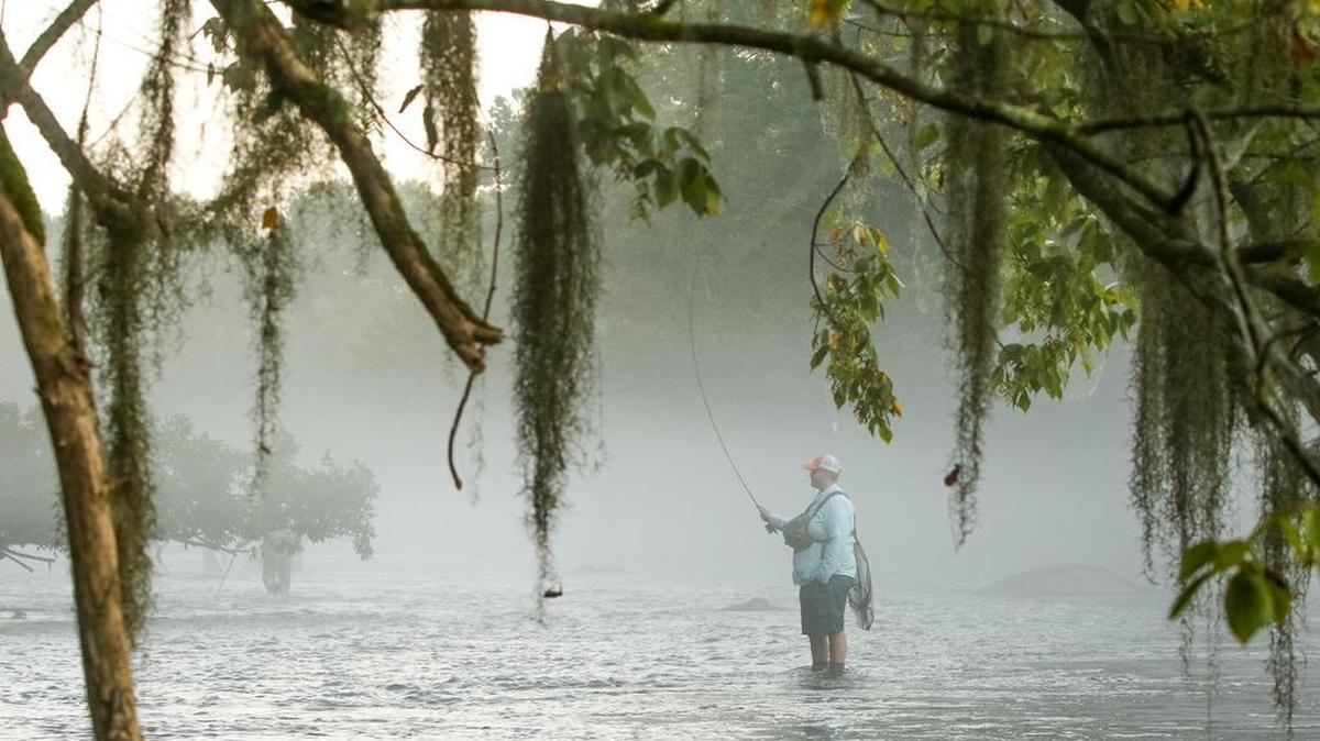 Spanish moss hangs from the trees on the lower Saluda River as trout fisherman Jake Howard, a advocate for clean waters, awaits a bite in September 2015. Trout are now reproducing in the lower Saluda River, another reason river advocates want sewage discharges removed from the waterway.